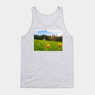 old house in the meadow Tank Top